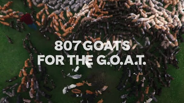 goats goats