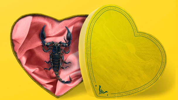 scorpion in heart shaped box