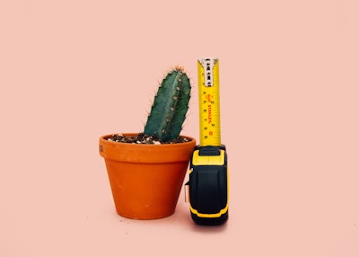 Small cactus in pot next to upright tape measure