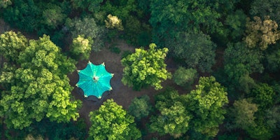 Aerial view of blue parasol among trees