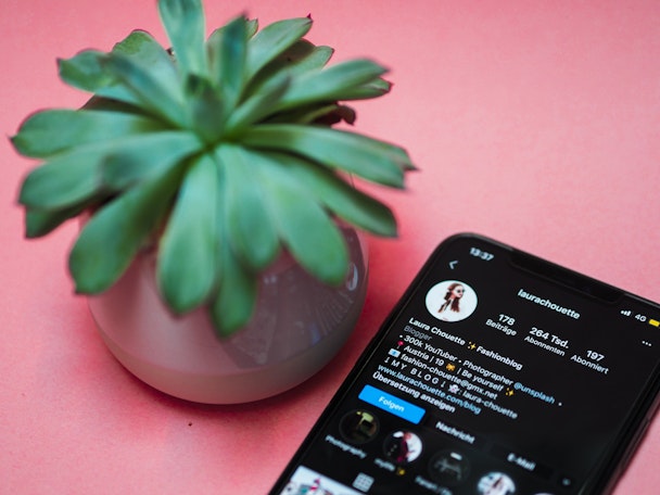 Influencer account on phone screen next to green plant