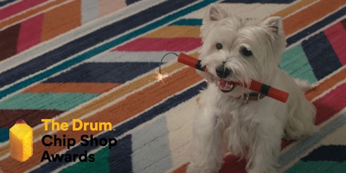 Dog holding a stick of dynamite in its mouth advertising The Drum Chip Shop Awards