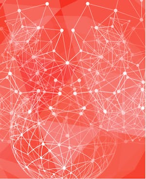 oracle market insight image oracle market insight image