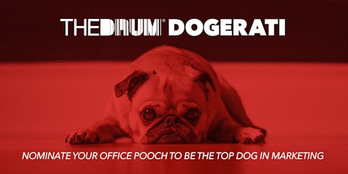 The Drum Dogerati Office Dog