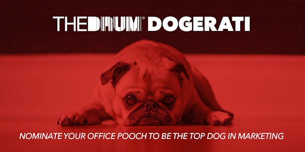 The Drum Dogerati Office Dog