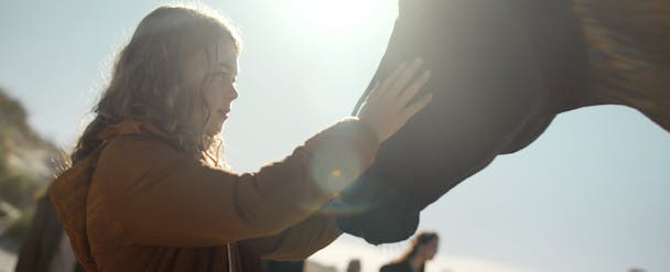 girl touching horse's face girl touching horse's face