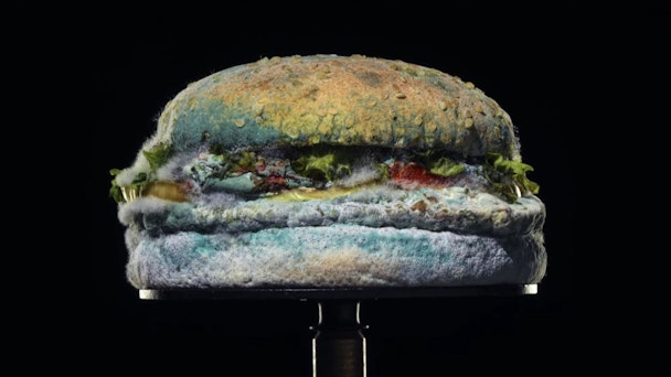 Burger King's mouldy whopper ad land reacts