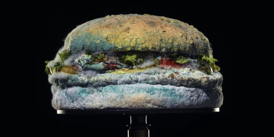 Burger King's mouldy whopper ad land reacts