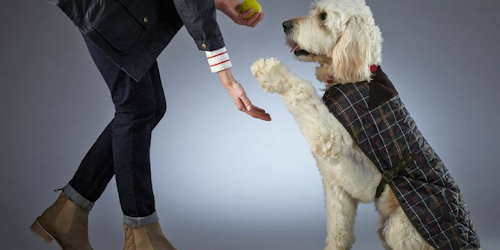 Barbour Dog's Life loyalty scheme