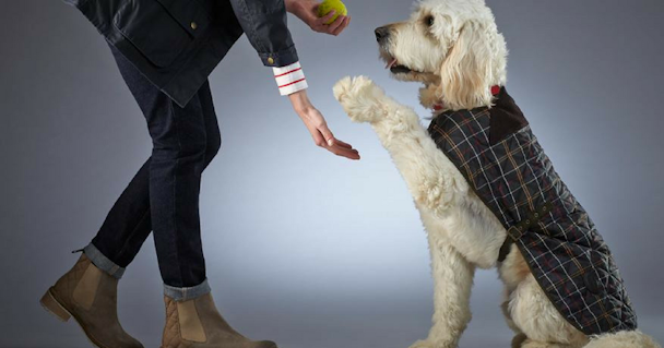 Barbour Dog's Life loyalty scheme