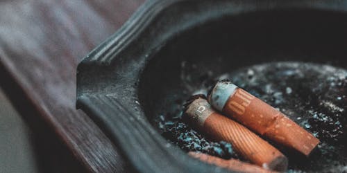 philip morris 2 philip morris 2