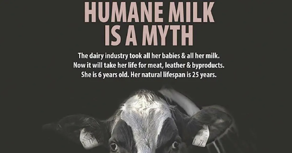 Vegan ad claiming 'Humane milk is a myth' cleared by watchdog despite ...