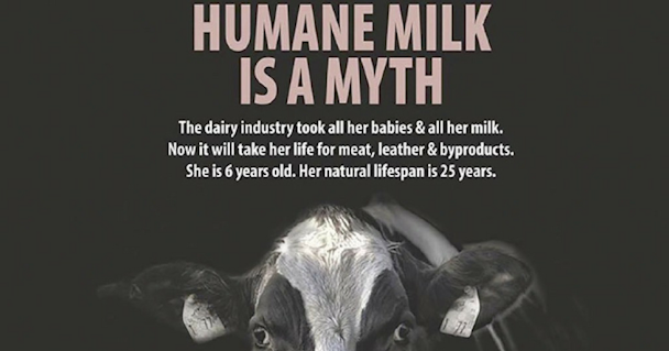 humane milk is a myth vegan campaign