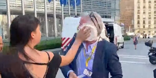 Michael O'Leary hit by pie