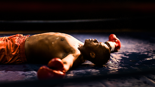 Boxer lays on the canvas, exhausted