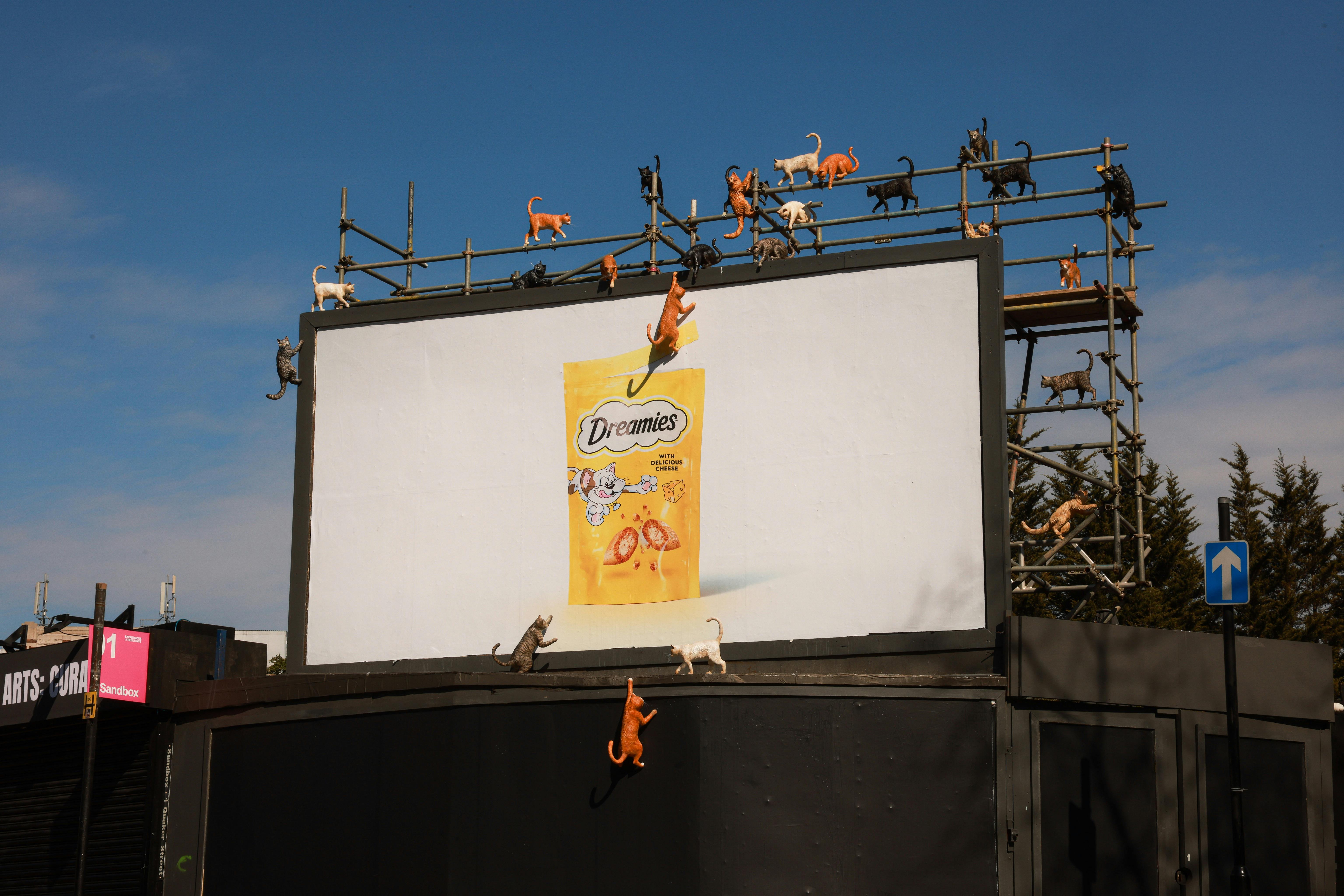 ad-of-the-day-cats-climb-billboards-for-dreamies-the-drum