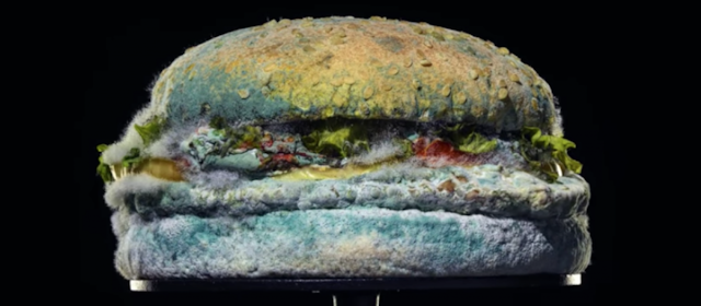 Burger King's Moldy Whopper campaign is second most awarded campaign  