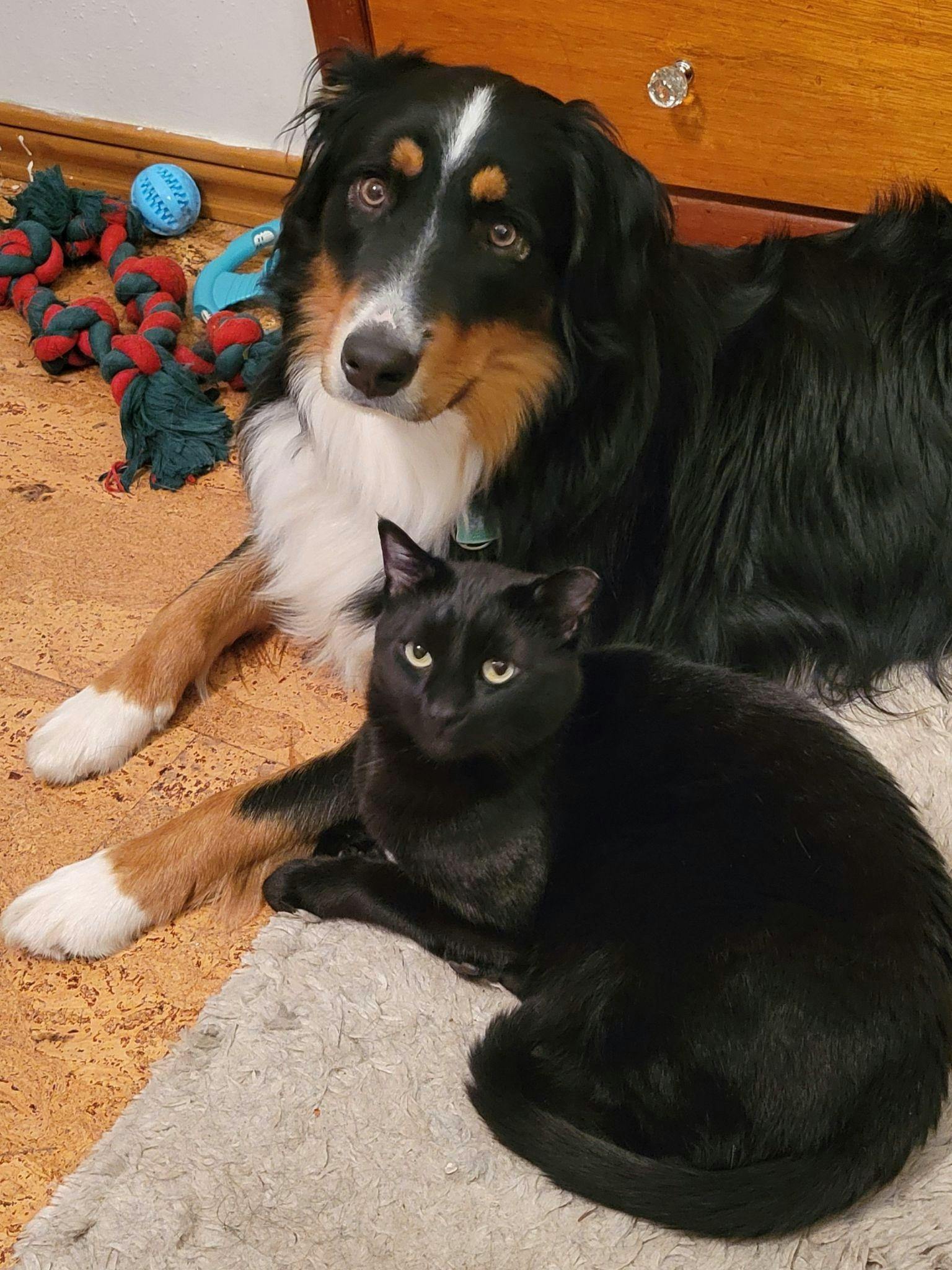 Jeff and Percy providing​ insights on‍ product⁣ trends.