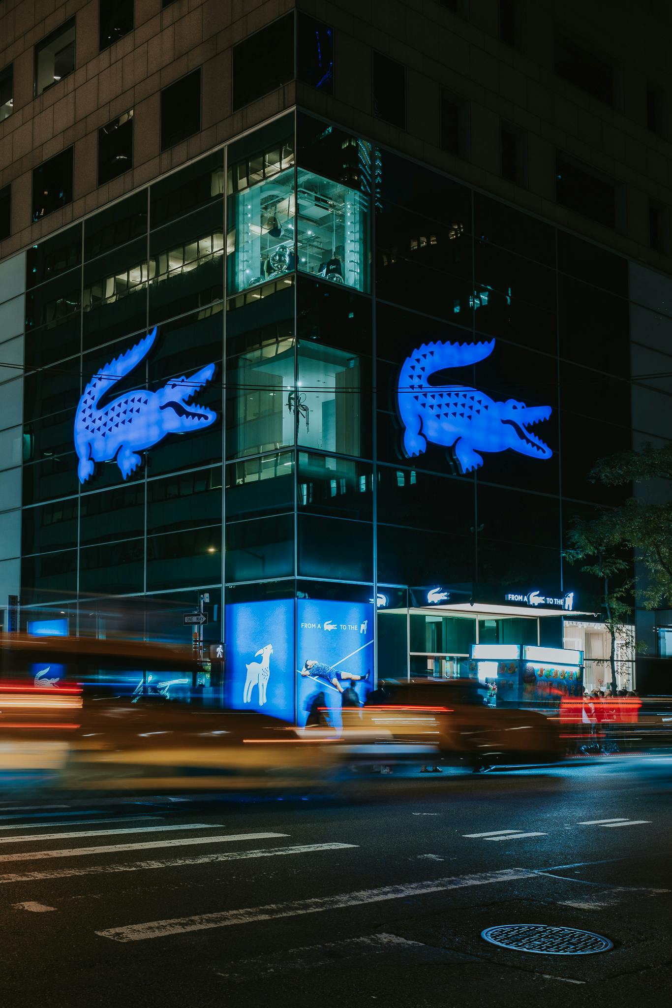 lacoste novak at 5th avenue nyc 25 17 در نوواک جوکوویچ و لاکوست: یک کیس استادی جذاب در برندینگ ورزشی