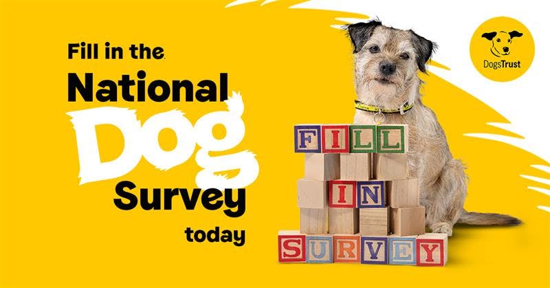 Creative Works Dogs Trust National Dog Survey By GOOD Agency The Drum