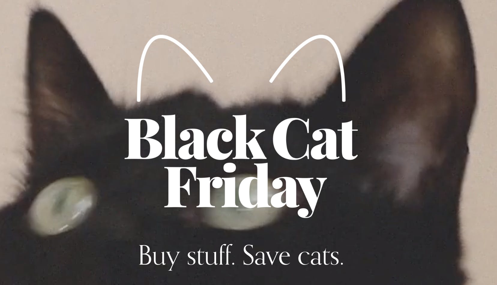 Black Cat Friday helps save black cats in need by shopping on Amazon