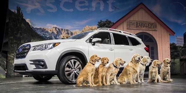 Subaru ad with dogs