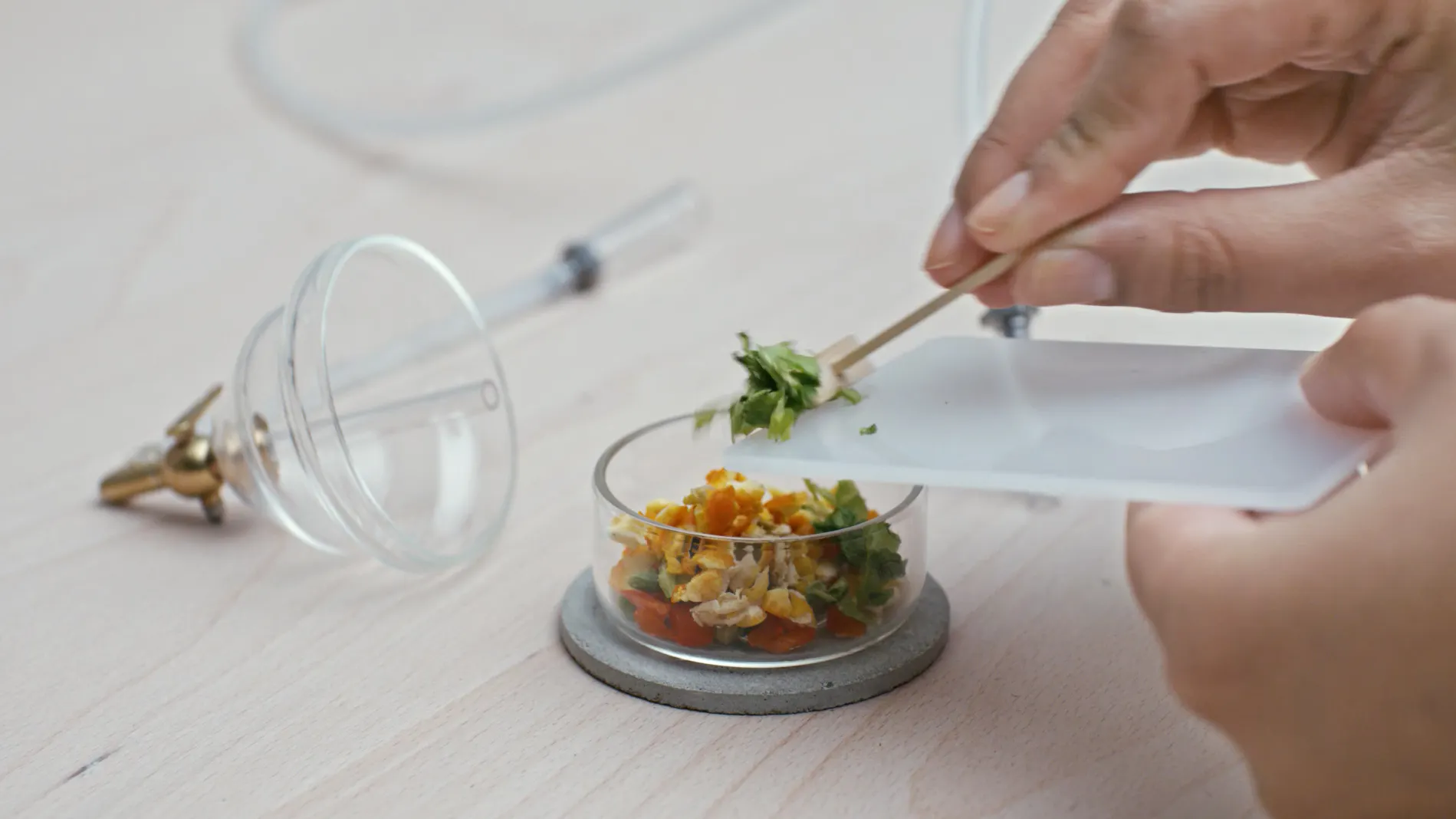 Miniature Science | The Drum