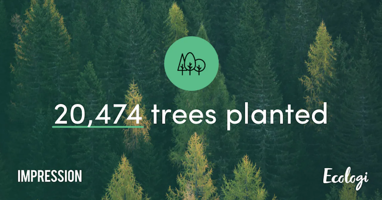 Digital marketing agency Impression plants 20,000 trees