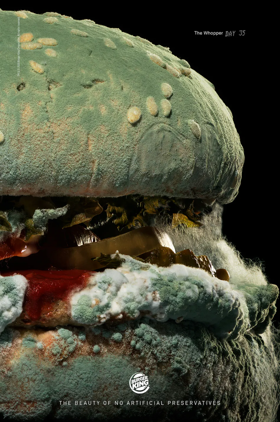 The Moldy Whopper | The Drum