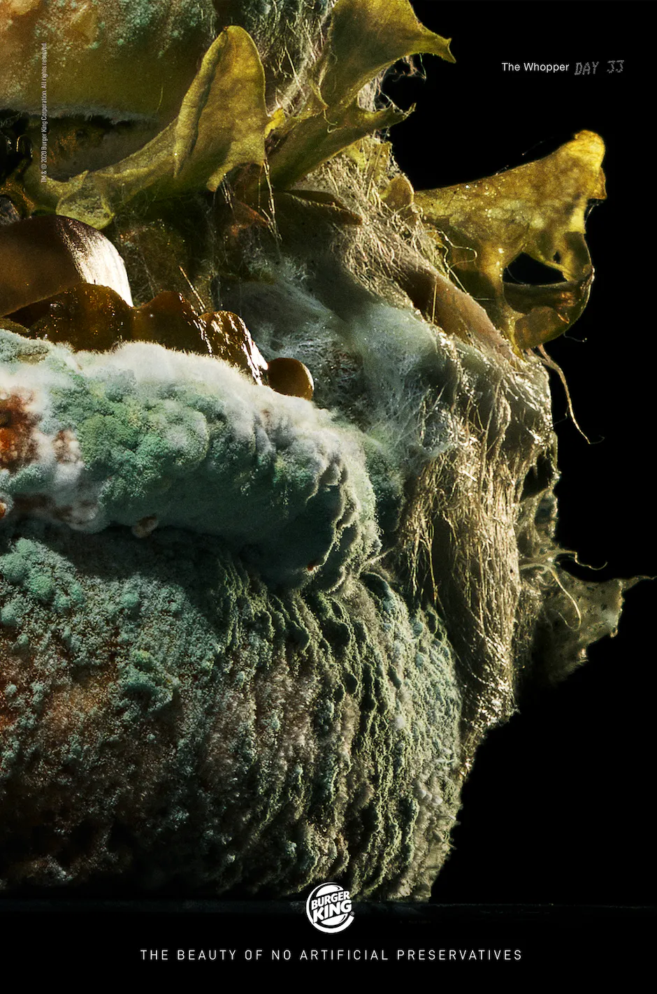 The Moldy Whopper | The Drum