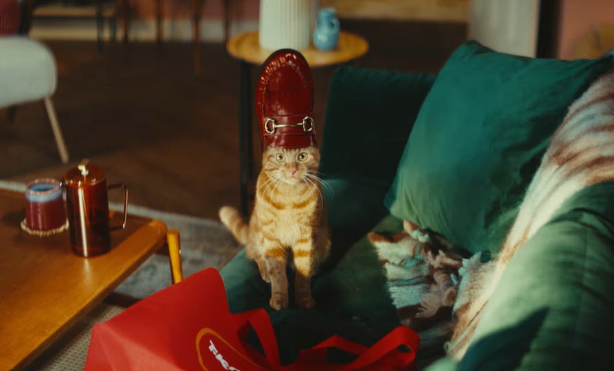 Ad of the Day: Cat in a hat is TK Maxx’s newest fashion model