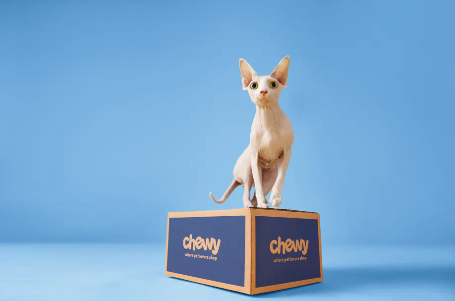 Kiri Masters: Chewy’s ad boss thinks the data hoarders have it backwards