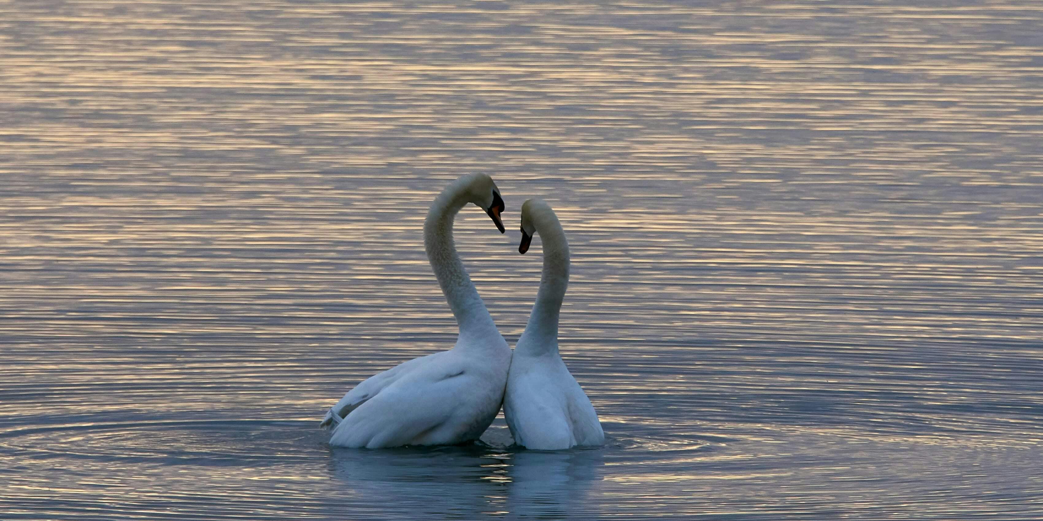 Kiss, marry, kill… marketing edition (part 2)